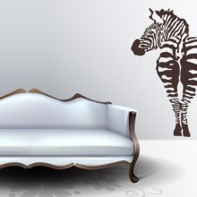Zebra - samolepka